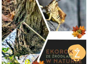 Klasa 2b na zajęciach w ośrodku "Źródła" Klasa 2b na zajęciach w ośrodku "Źródła"